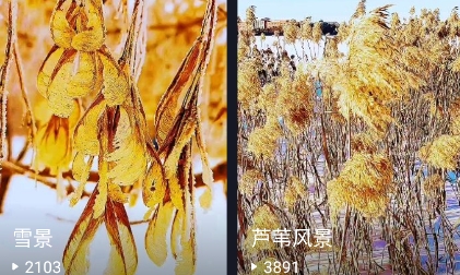高清壁纸秀软件下载