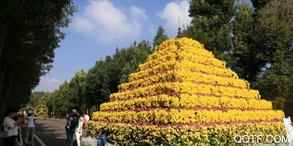 嵩明融媒客户端