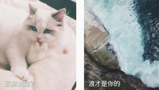 福星来电app安卓版
