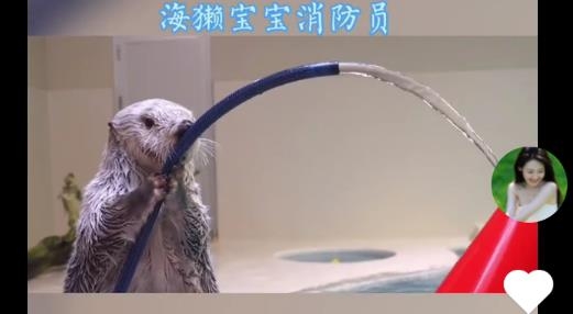 666音视app最新版