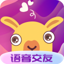 哩咔语音交友