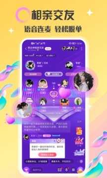 Botim聊天软件