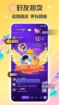 Botim聊天软件