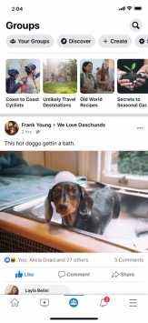 facebook破解免登录