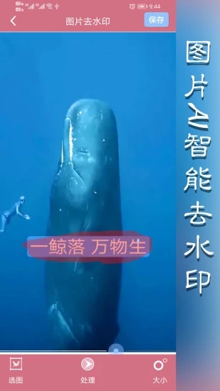 水印王app