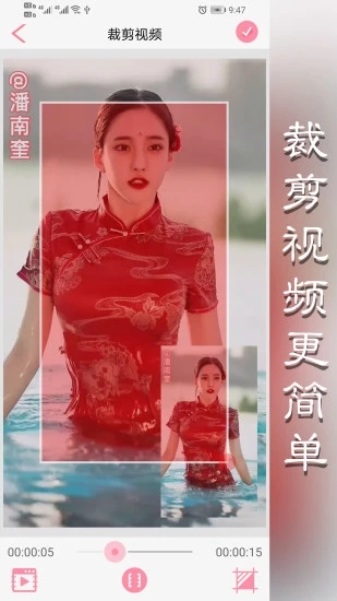 水印王app