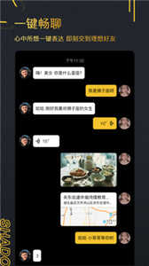 影子2.1