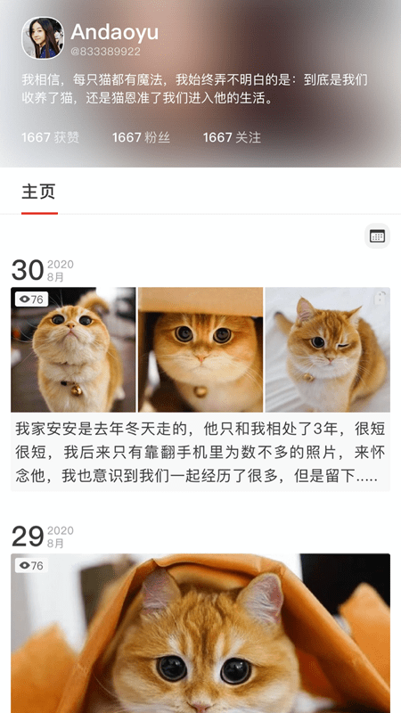 宠年年App软件手机版图片1