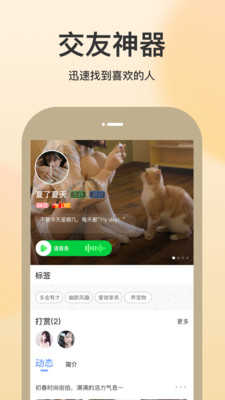 随缘聊天