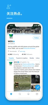 twitter 在线登录