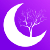 望月app