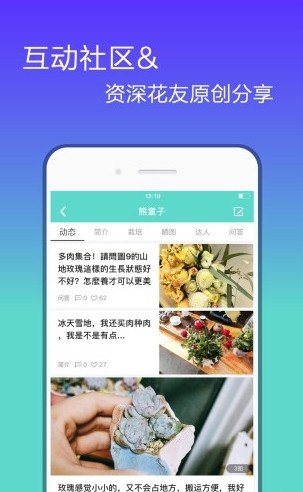 花信聊天