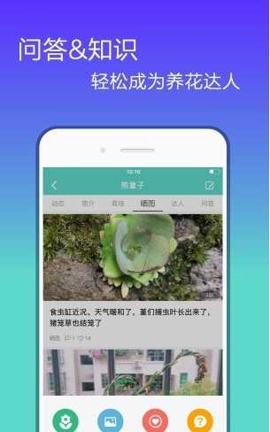 花信聊天