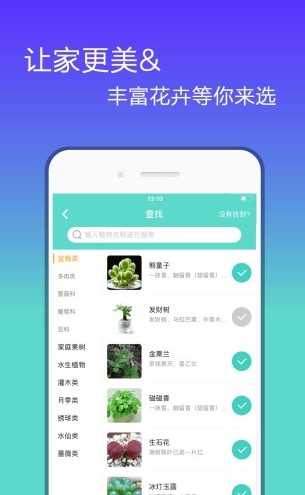 花信聊天