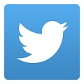 小蓝鸟 twitter最新版