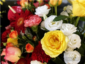 我在抖音教人养花，不拍段子，一个月卖掉7万枝小菊