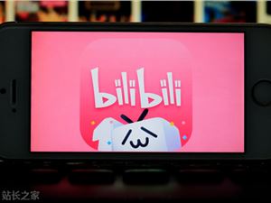 B站：发布诱导非理性追星等内容将予以从严处理