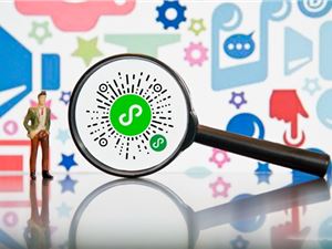 千亿巨头子公司大做私域：被小程序改写的流量全局