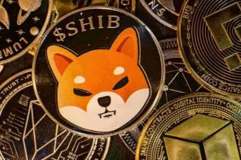 今天维卡币最新消息 - 维卡币近几天最新消息