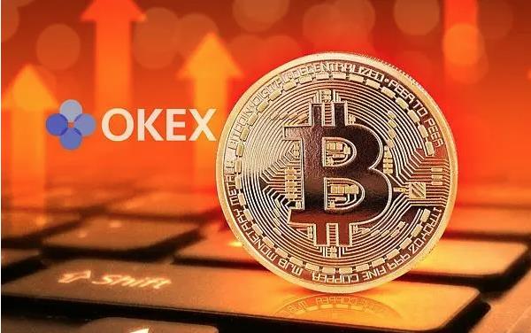 新人入门引导 币赢交易所e官网正版注册