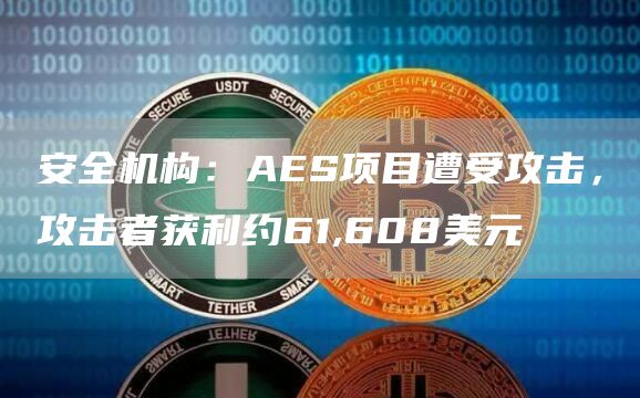 安全机构：AES项目遭受攻击，攻击者获利约61,608美元1