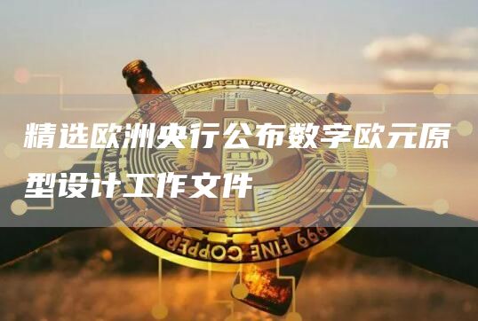 精选欧洲央行公布数字欧元原型设计工作文件1
