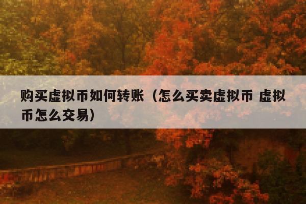 购买虚拟币如何转账_怎么买卖虚拟币虚拟币怎么交易1