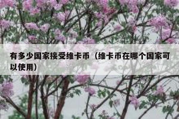 有多少国家接受维卡币_维卡币在哪个国家可以使用1