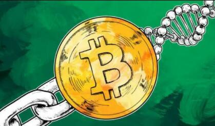 一个比特币图标的软件有哪些比较好的比特币交易app20232