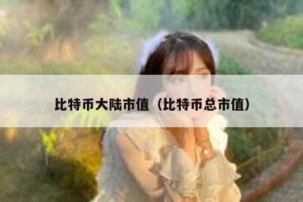 比特币大陆市值_比特币总市值1