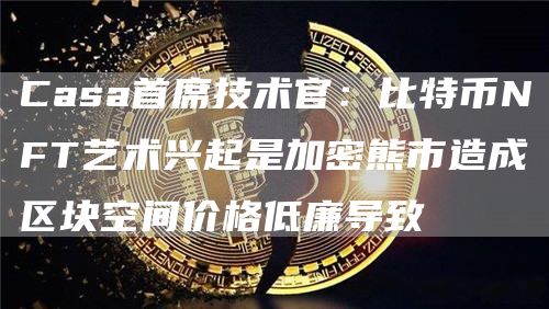 Casa首席技术官：比特币NFT艺术兴起是加密熊市造成区块空间价格低廉导致1