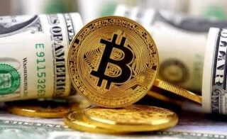 中国十大虚拟货币排名（除了BIAN还有哪些交易所）