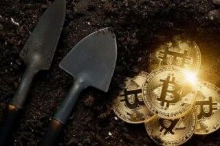 货币金融服务(货币金融服务业包括银行吗)