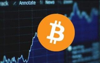 维卡币中文网(维卡币的网址)