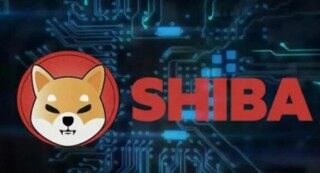为什么欧意下载不了(欧意怎么下载不了)