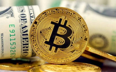 比特数字资产交易所app_安全的虚拟货币交易平台榜单一览-第1张图片-欧意下载