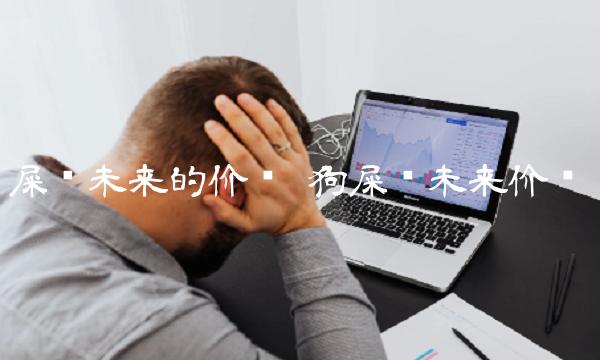 屎币未来的价值-第1张图片-欧意下载