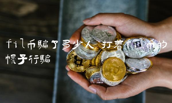 打着fil币的幌子行骗-第1张图片-欧意下载