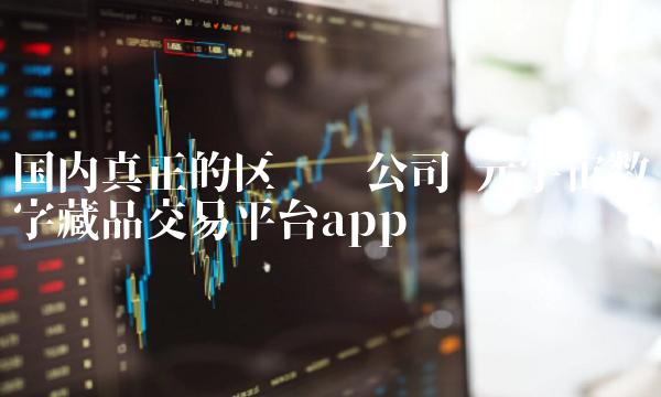 元宇宙数字藏品交易平台app-第1张图片-欧意下载