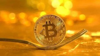 下一轮牛市炖什么币 – 币圈下一轮牛市是什么时候