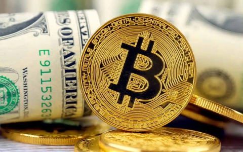 中国有比特币交易平台吗|最大的虚拟币交易平台-第7张图片-欧意下载