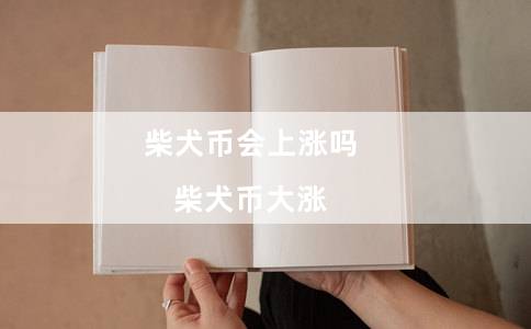 柴犬币会上涨吗（柴犬币大涨）-第1张图片-欧意下载