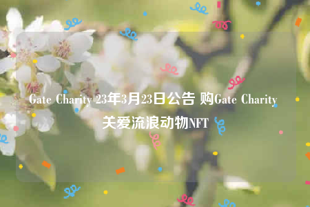 Gate Charity 23年3月23日公告 购Gate Charity 关爱流浪动物NFT-第1张图片-欧意下载