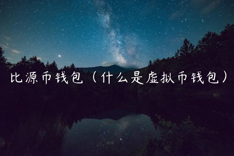 比源币钱包（什么是虚拟币钱包）-第1张图片-欧意下载