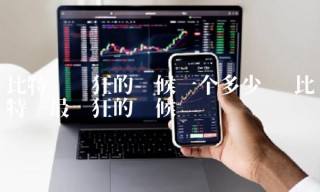 比特币疯狂的时候一个多少钱