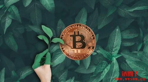 狗币钱包（rvn钱包手续费）-第3张图片-欧意下载