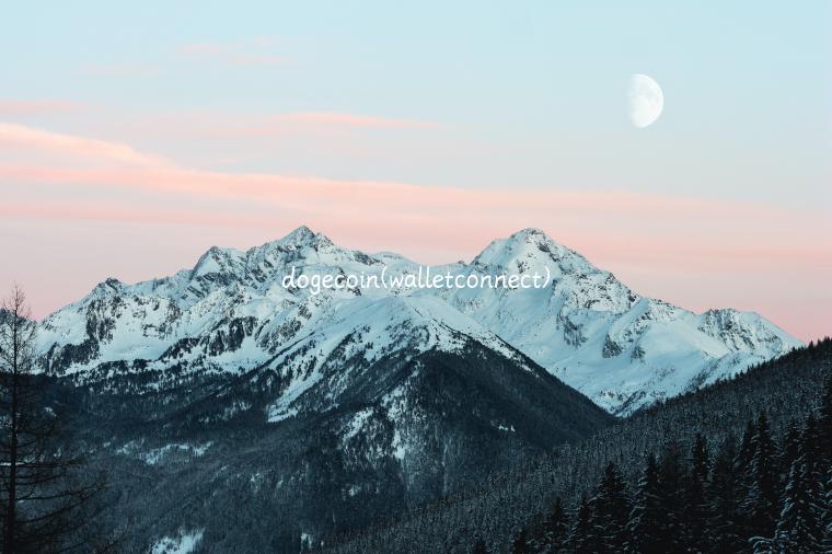 dogcoin - walltconnct-第1张图片-欧意下载