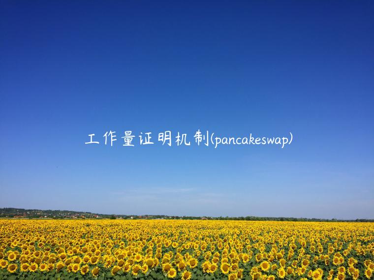 工作量证明机制 - pancakswap-第1张图片-欧意下载