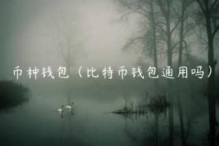 币种钱包（比特币钱包通用吗）