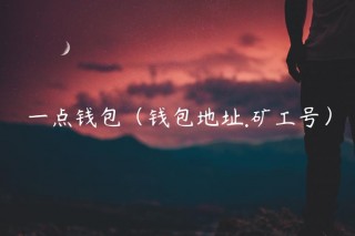 一点钱包（钱包地址.矿工号）